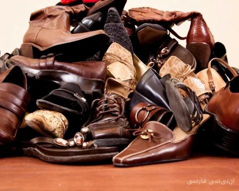 The Challenges of Vegan Leathers: Are These Alternatives Truly Sustainable?