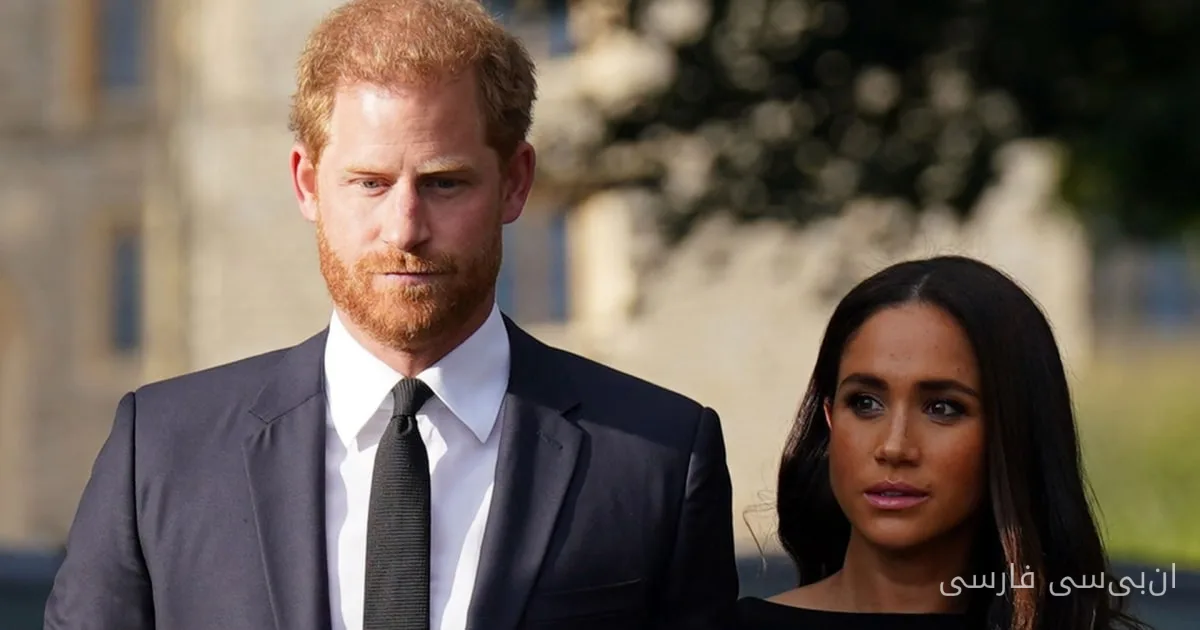 Prince Harry and Meghan Markle Changed Their Children's School Due to Security Concerns