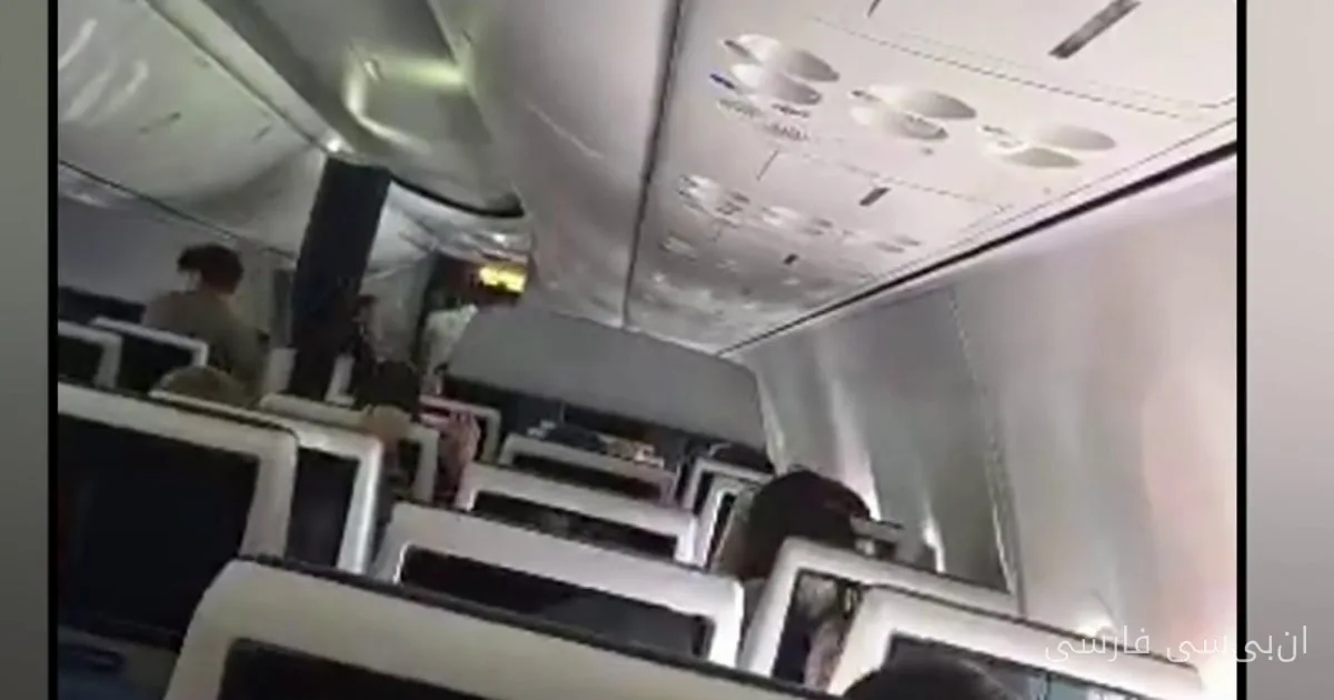 مسافران تلاش co-pilot برای سقوط هواپیما را متوقف کردند