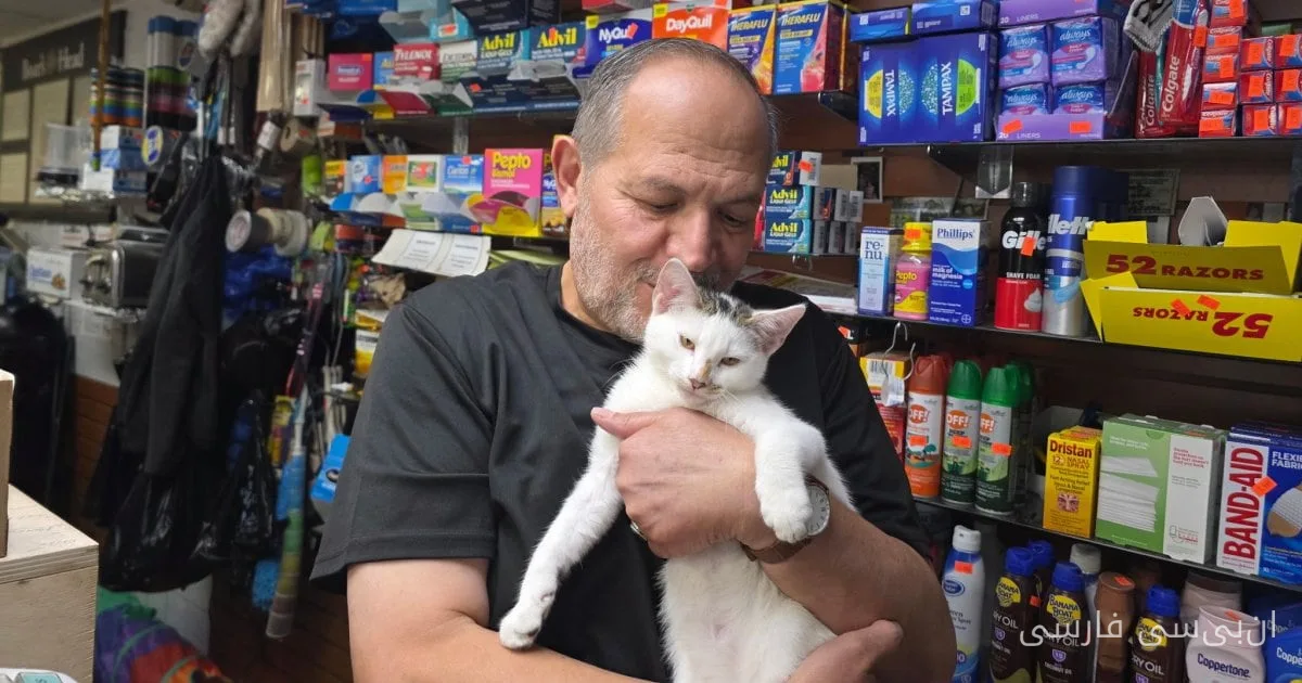 Jabal, le chat bien-aimé du bodega à Brooklyn, est revenu après les manifestations de la communauté