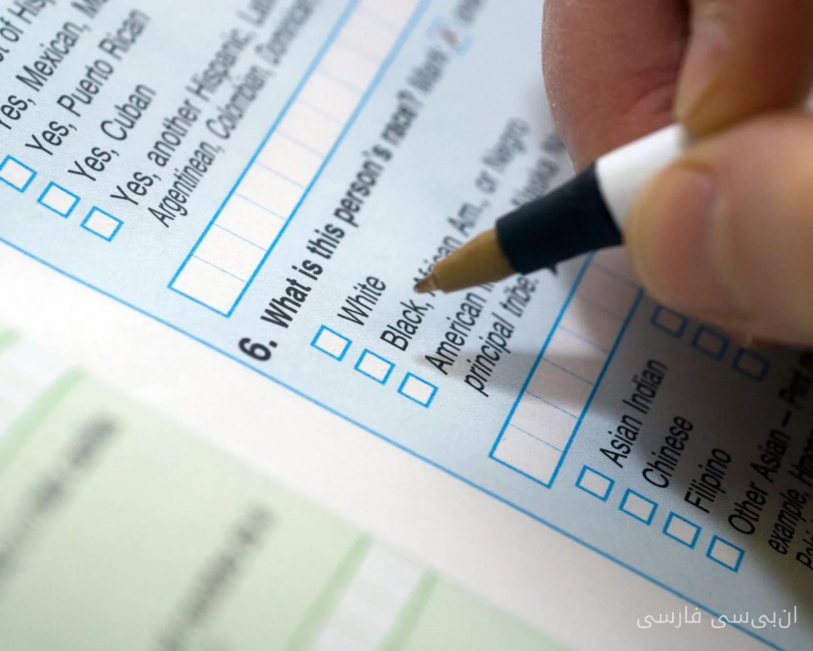 Does Trump Threaten American Democracy with the Census?