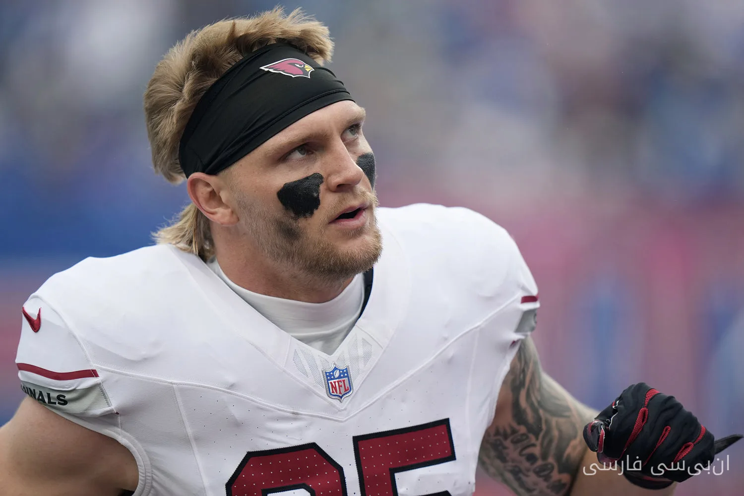 NFL رفتار داور با بازیکن آریزونا کاردینالز را بررسی میکند